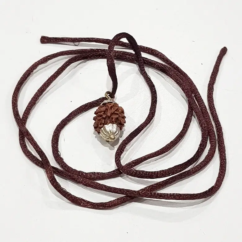 Two Mukhi Premium Rare Rudraksha - Image 8