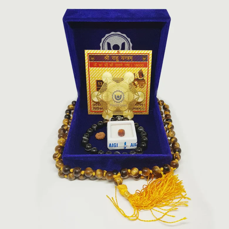 Videsh Yatra Yog Kit - Image 3