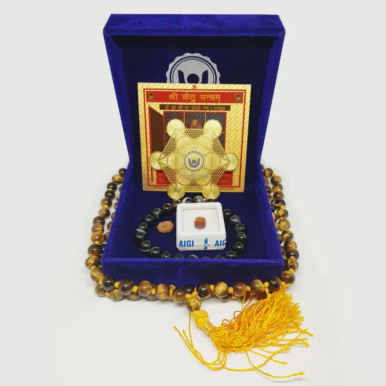 Videsh Yatra Yog Kit - Image 4