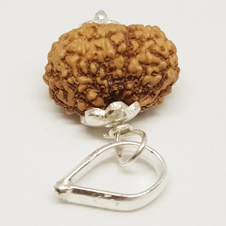 Videsh Yatra Yog Kit - Image 8