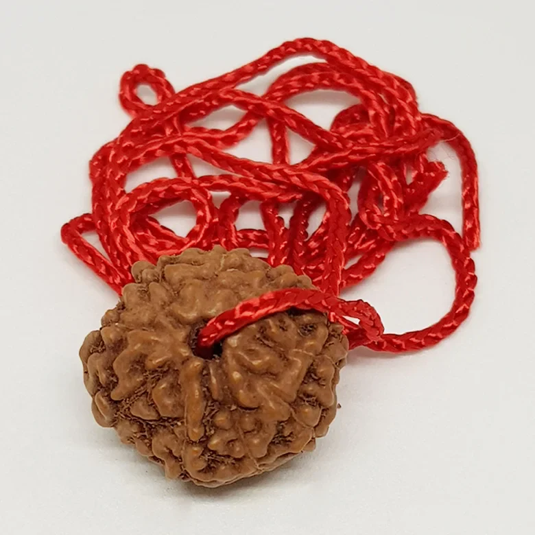 Vyapar Vridhi Kit - Image 11