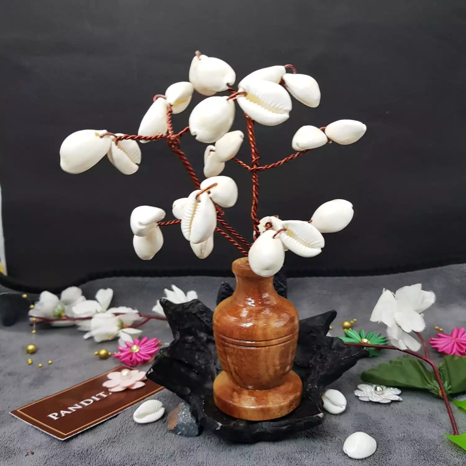 White Kaudi Tree