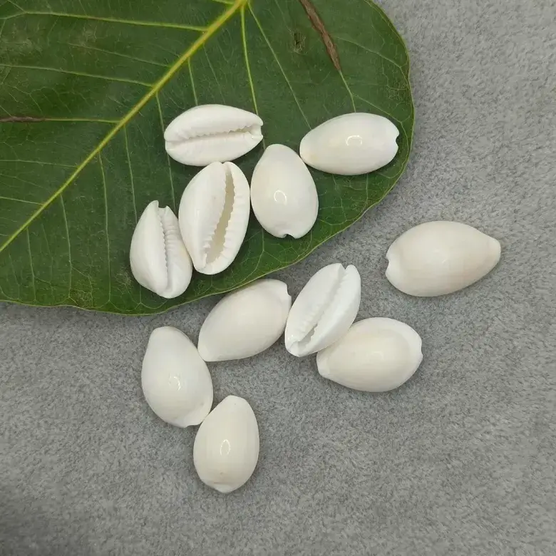 White Laxmi Kaudi - Image 4