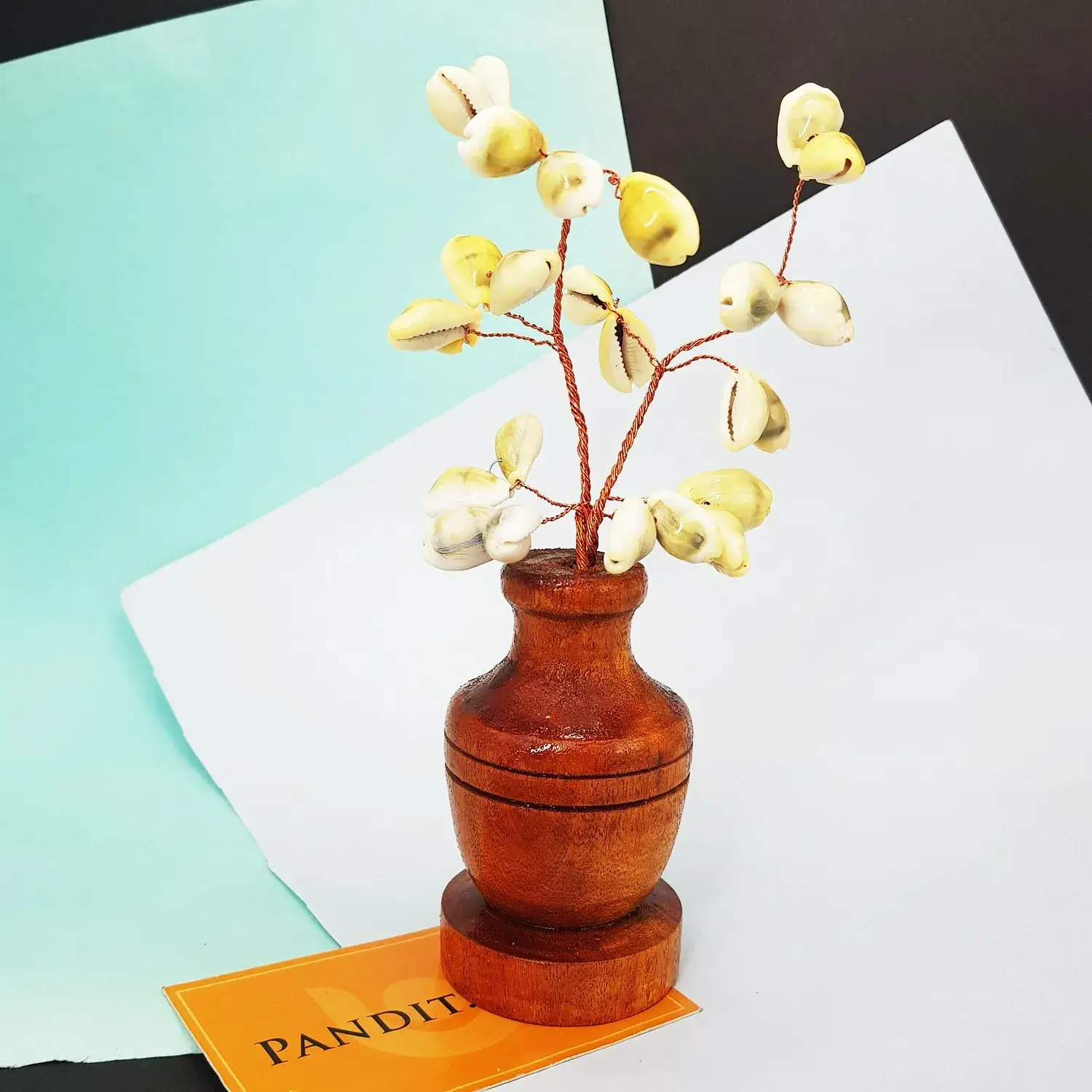Yellow Kaudi Tree - Image 2